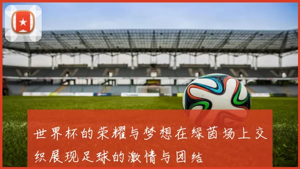 世界杯的荣耀与梦想在绿茵场上交织展现足球的激情与团结
