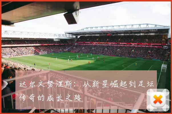 达尔文努涅斯：从新星崛起到足坛传奇的成长之路