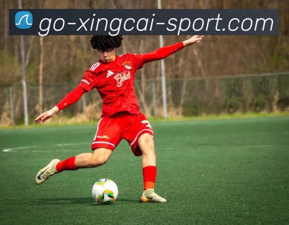 杏彩官网平台生态图