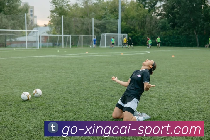 杏彩官网APP 封面图